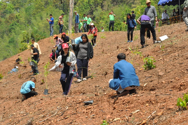 4ThailandSocialExpo resize