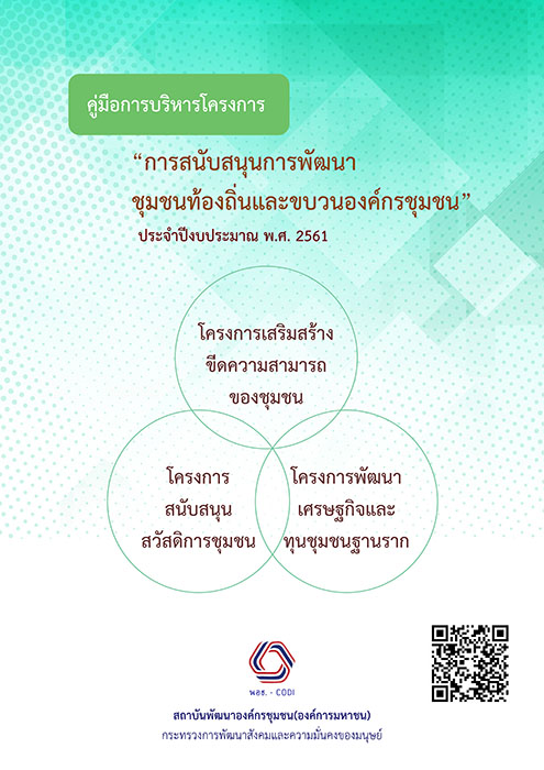 Manual Projectmanagement2561