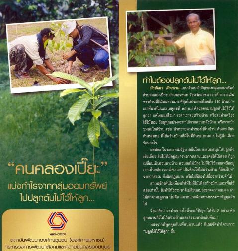 คนคลองเปี๊ยะแบ่งกำไรจากกลุ่มออมทรัพย์ไปปลูกต้นไม้ไว้ให้ลูก