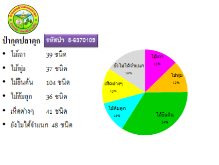 Amnatcharoen7
