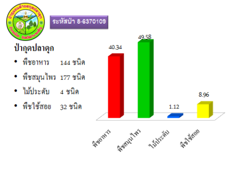 Amnatcharoen8