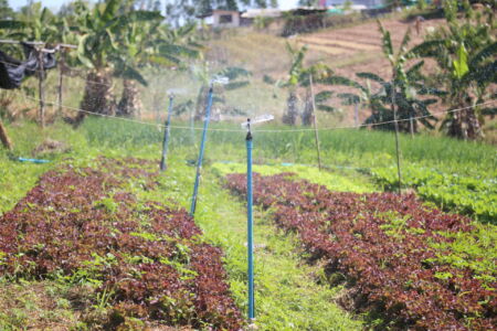 20200107120817 Img 8204