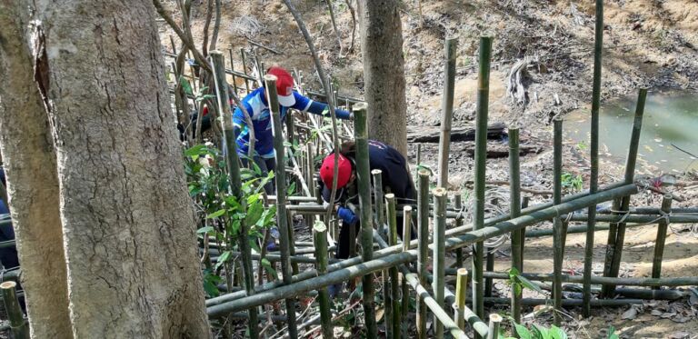 88142657 2735136673260565 2670109016767594496 O