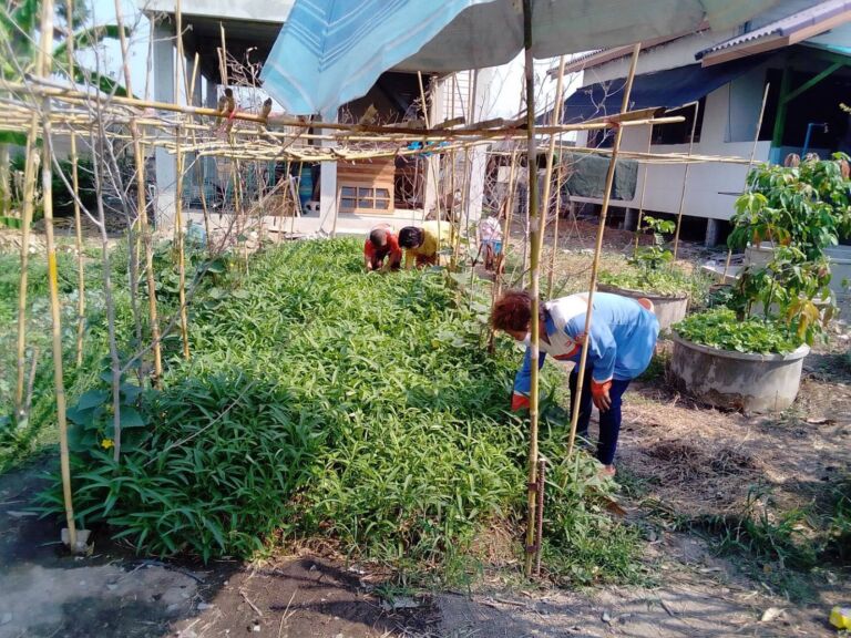 91780473 503937670511865 6509358077681074176 O