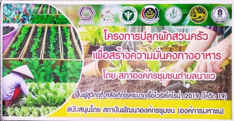 96283564 3035383183188687 5450664788294107136 N