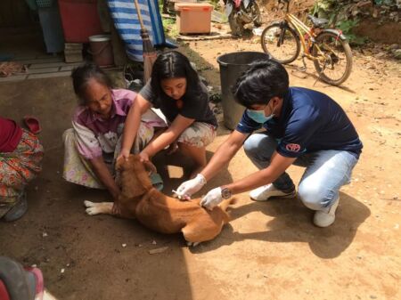 101835789 2582340732082166 9081412958323925068 N