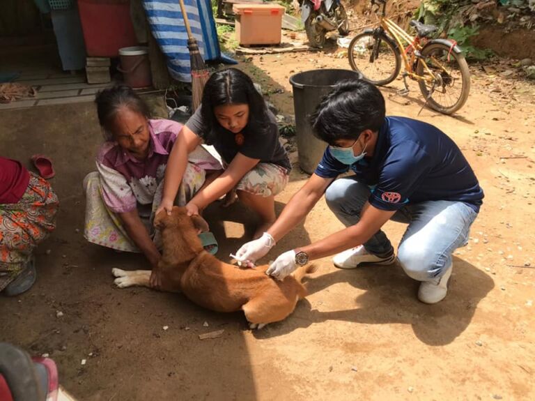 101835789 2582340732082166 9081412958323925068 N