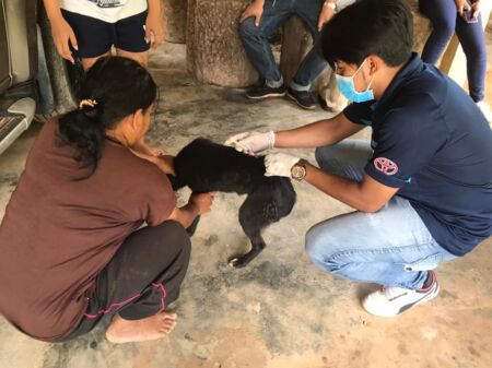 101870193 2582340618748844 7991429348899762938 N