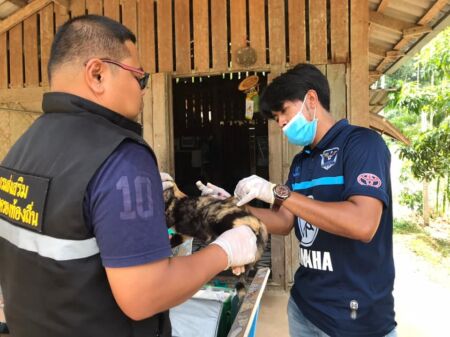 101945055 2582340865415486 9081665747074326601 N