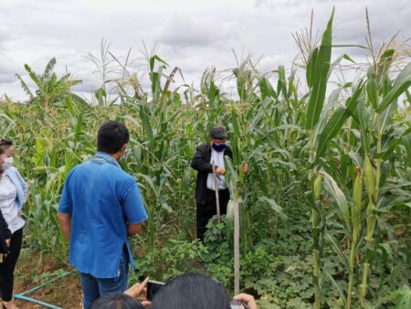 104431405 2830519393726208 2369387278377771088 N