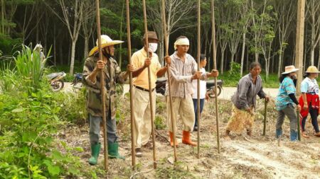 106029651 2597863513767987 2794789897015908192 N