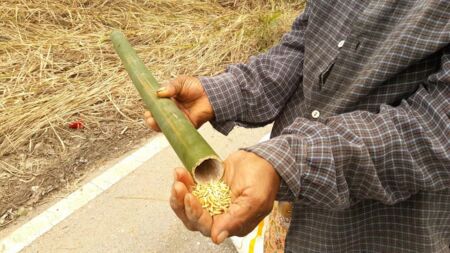 106062086 2597863447101327 270077419166389333 N