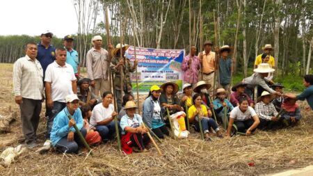 106099125 2597863420434663 4314783812498058395 N