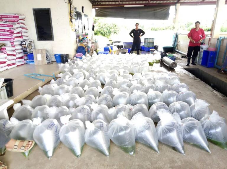 106271981 3682162185131285 8667936831939166216 N