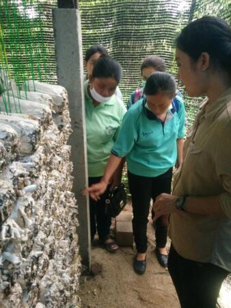 106488347 3682161698464667 5190493372565185977 N