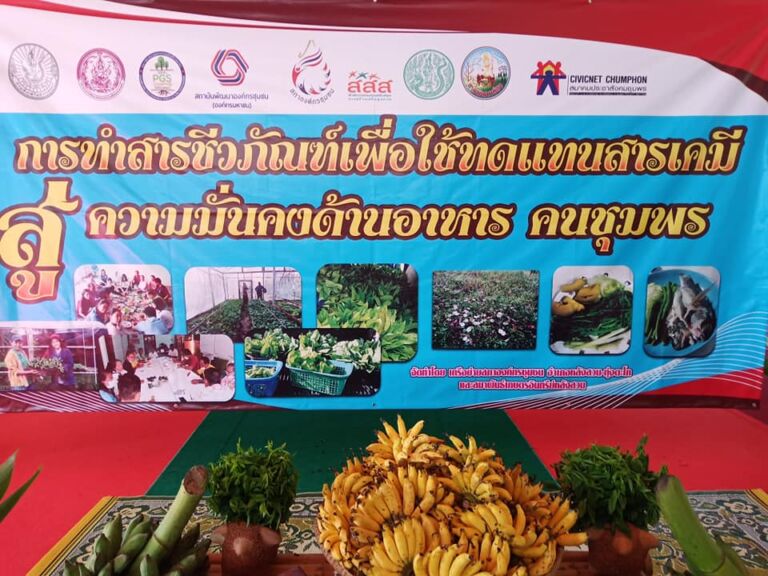 107518886 3191594670900870 5396396641544035555 N