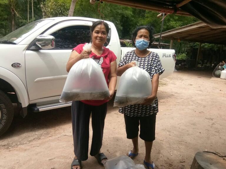 108626894 148945523441941 5623371285028458396 O