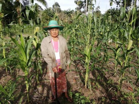 110193623 2619757481578590 1435617576131297198 N