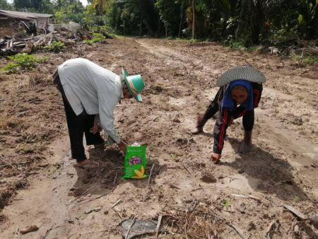 110657866 2619757588245246 5534520901199517231 N