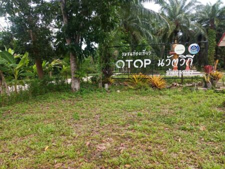 115768673 3246814738712196 1881085751923947212 N