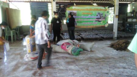 114417824 2946453518799461 3277896651223655912 N