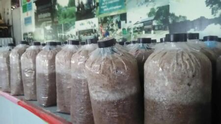 116568796 2946453468799466 8863822203772229202 N