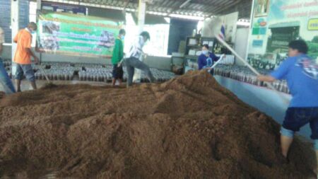 116576124 2946453268799486 3880921398009857756 N