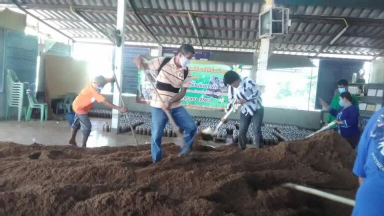 116810828 2946453338799479 8569674763596087515 N