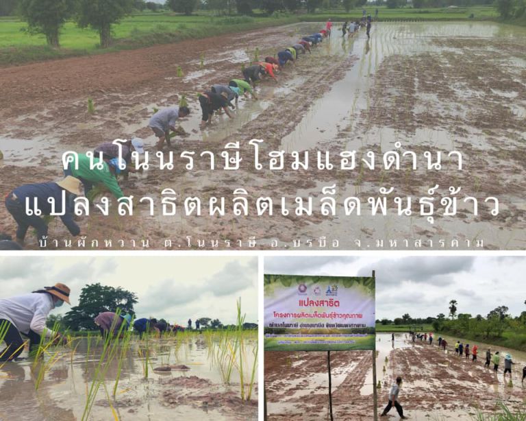 117386866 2992813014163511 1463127863211713062 N