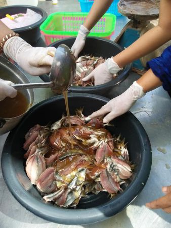 118326259 2817594745187072 2310367233721098699 N