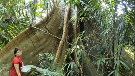 Messageimage 1596161581282