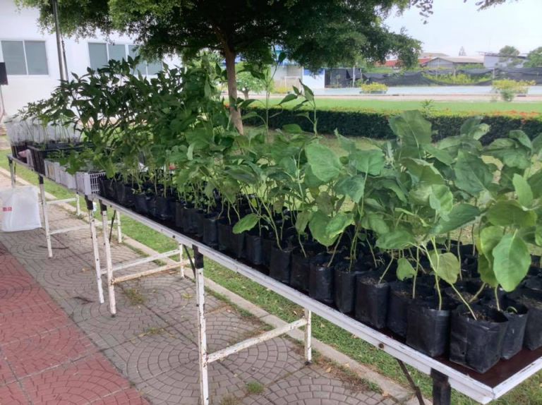 118353017 627463191533306 7058486603197687288 N