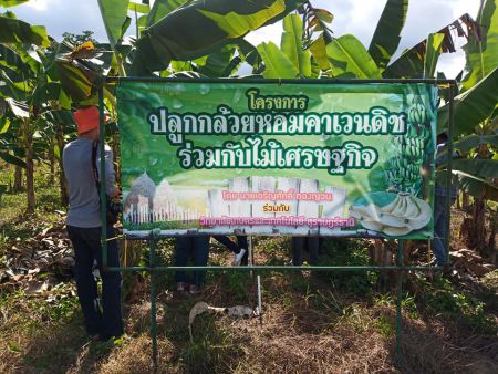 118615013 3355922841134718 1499832606384631335 N