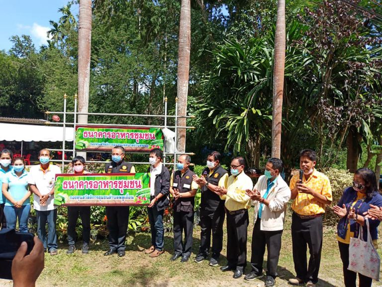 118694794 3355922504468085 4875356646568916587 N