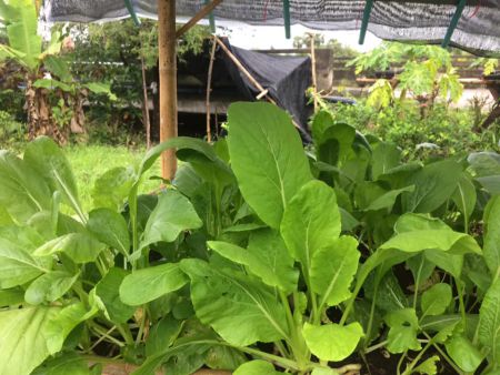 131909686 4241285985904054 7127885008038776644 N