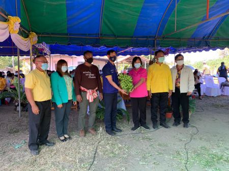 135243222 2554430231516075 8715470518744066251 N