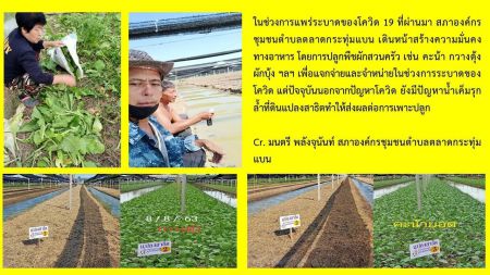 136068449 696558267916470 1330053403051765040 O