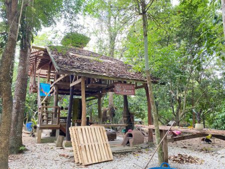 144389383 263255872060824 1867872704624613346 O