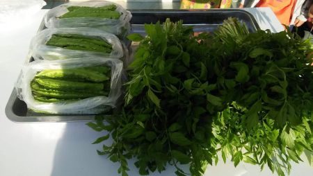 149391165 230809798588846 2745696467795924169 O