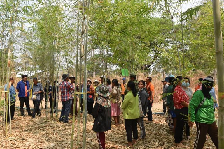 158891612 3916309451792445 2570937323472515869 N