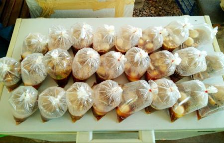 173018989 3865065486862555 6364163354094366722 N