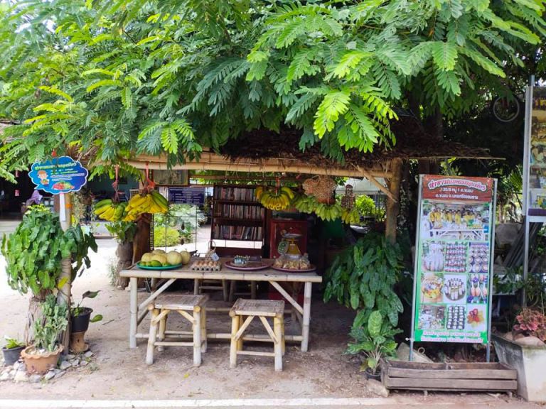 175966654 3994022567324739 2304301124299487452 N