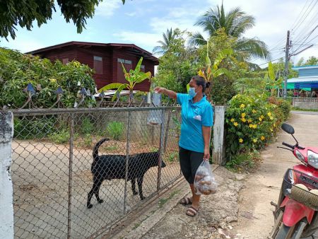 178358111 3865065133529257 1464485684704707210 N