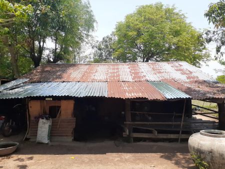 178450914 455666372405893 5212785782238976250 N