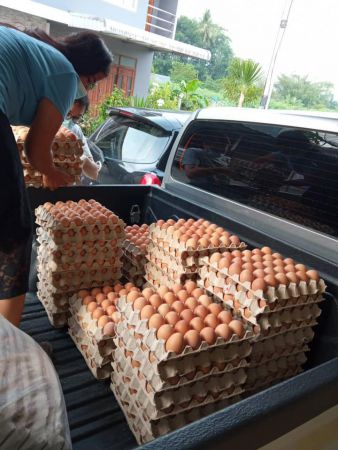 183281960 4054735441235877 5563246847658253466 N