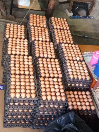 186452206 880182279198993 1794699024251702336 N