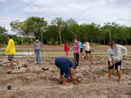 192538888 4131794530214208 2823286606995231147 N