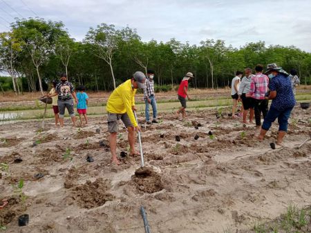 195861576 4131794456880882 7552635652071721281 N