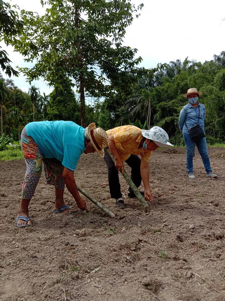 201289662 4037257566366571 5772026641350796916 N