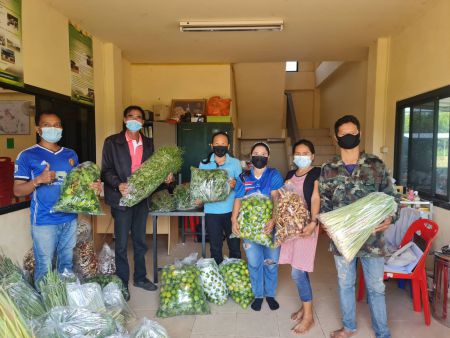 232096085 3974208696023933 3548264263813952051 N